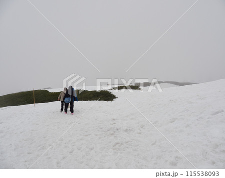 曇り天気の立山黒部アルペンルートの室堂で雪山を散歩する観光客の姿 115538093