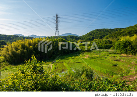 名古木の棚田　初夏の田園　棚田の風景 115538135