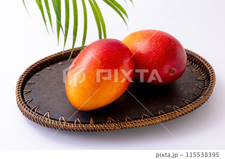 宮崎県産マンゴー 115538395