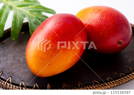 宮崎県産マンゴー 115538397