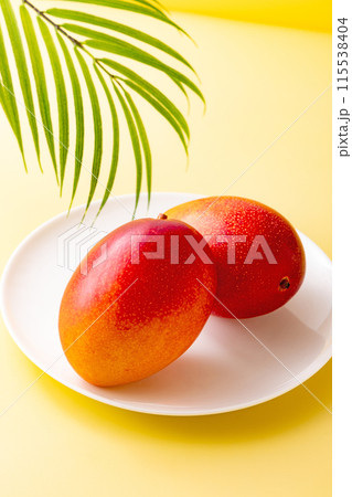 宮崎県産マンゴー 115538404