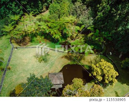 Bali botanical garden, Indonesia. Tropical botanic garden. Bali botanical garden, Indonesia. Tropical botanic garden. 115538905