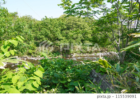 余別川河川管理展望施設付近から見る余別川 115539091