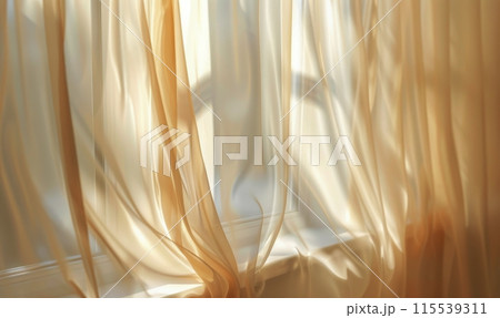 Sunlight Streaming Through Sheer Curtains in a Room 115539311