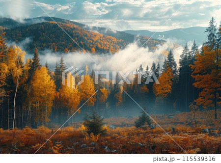 Autumnal Forest Landscape With Foggy Mountains at Sunrise 115539316