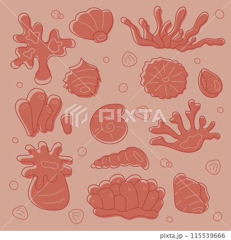 Set with corals and shells. Doodles clip art in pastel colors. 115539666