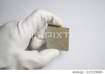 Picture of CPU chip in hand, CPU with many pins, on white background. 115539800