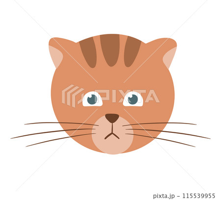 Cute striped ginger cat Cute striped ginger cat 115539955