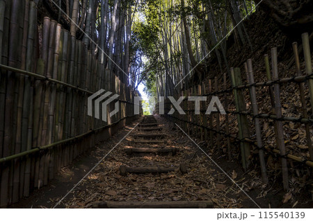 ＜千葉県＞ひよどり坂(佐倉) 115540139