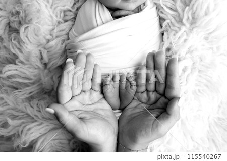 Feet of the newborn on the palms of the parents. The palms of the father and mother are holding the foot of the newborn baby in flokati. Black and white photography of a child's toes, heels and feet.  115540267