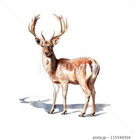 白背景に鹿の水彩イラストのイラスト素材 [115540304] - PIXTA
