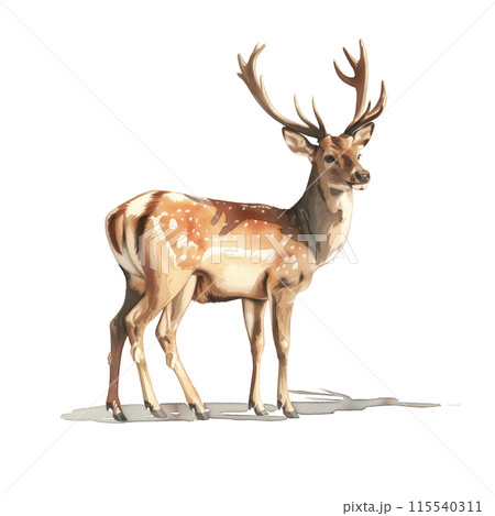 白背景に鹿の水彩イラスト 115540311