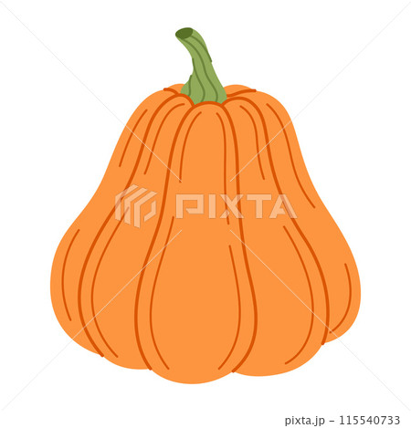 Ripe orange pumpkin. Hand drawn flat style Autumn Harvest Thanksgiving halloween 115540733