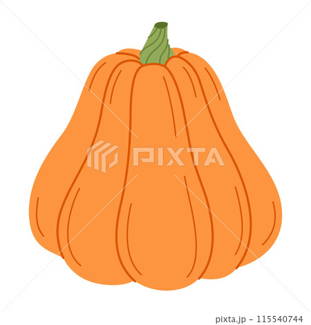 Ripe orange pumpkin. Hand drawn flat style Autumn Harvest Thanksgiving halloween 115540744