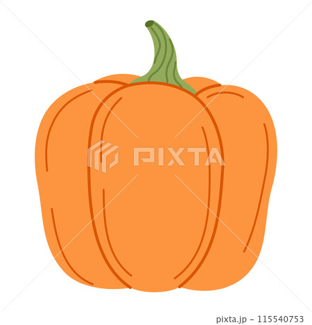 Ripe orange pumpkin. Hand drawn flat style Autumn Harvest Thanksgiving halloween 115540753
