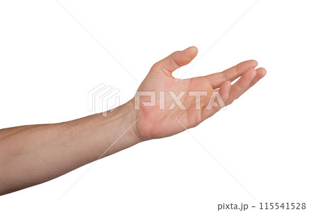 Hand palm open stretching reach outstretched. Empty give hold white gesture isolated. Help 115541528
