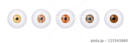 Iris medical poster Iris medical poster 115541660