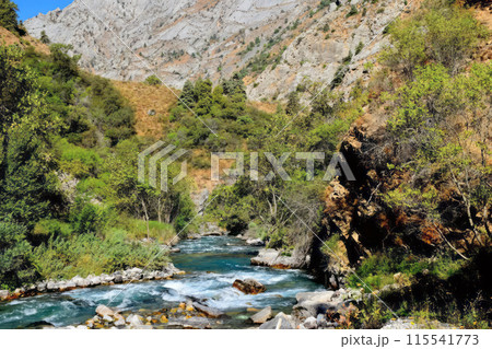 Majestic Flows Majestic Flows 115541773