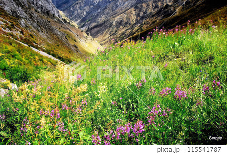 Uzbekistan mountain landscape. Foothills of the Pamirs. Uzbekistan mountain landscape. Foothills of the Pamirs. 115541787