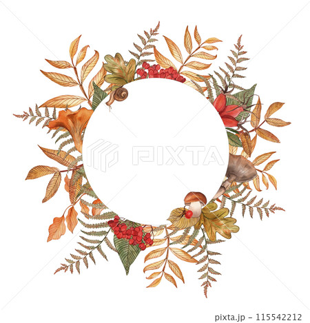 Rowan, rosehip, tree branch, mushrooms, leaves, fern, autumn forest, round frame, hand-drawn illustration in watercolor on a white background. Suitable for design cards, invitation, posters, holiday. 115542212