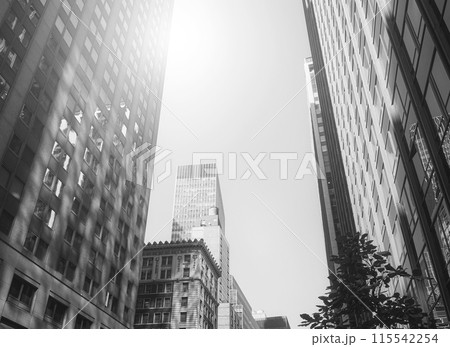 Black and white photo of New York City cityscape, USA. 115542254