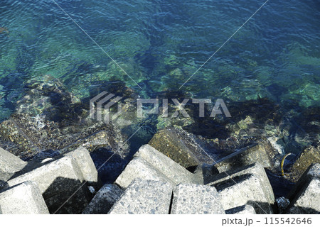 いつか見た青い海 115542646