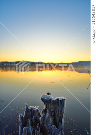 朝の福島潟（新潟県） 115542817