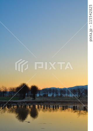 朝の福島潟（新潟県） 115542825