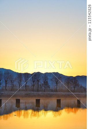 朝の福島潟（新潟県） 115542826