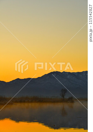 朝の福島潟（新潟県） 115542827