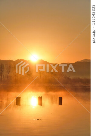 朝の福島潟（新潟県） 115542835