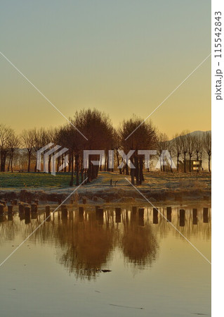 朝の福島潟(新潟県) 朝の福島潟(新潟県) 115542843