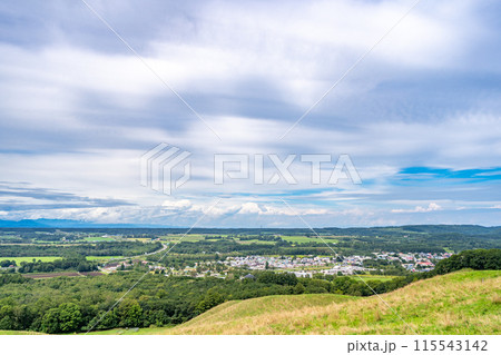 忠類 町並み 眺望 パノラマ 忠類 町並み 眺望 パノラマ 115543142