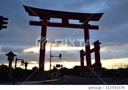 朝の弥彦大鳥居（新潟県）	 115543376