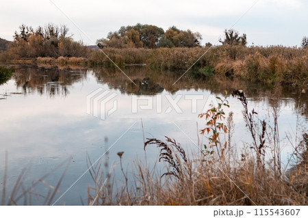 Autumn Nature on Siverskyi Donets River, Ukraine 115543607