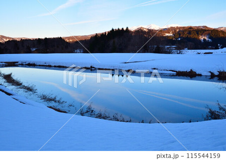 水を張った田んぼ　冬景色（新潟県） 115544159