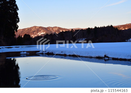 水を張った田んぼ　冬景色（新潟県） 115544163