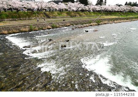 桧木内川堤の桜まつり 115544238