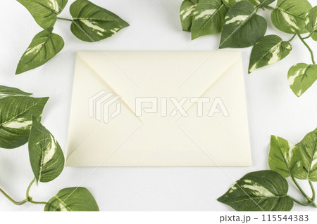 白い封筒とフェイクグリーン。手紙のイメージ 白い封筒とフェイクグリーン。手紙のイメージ 115544383