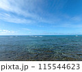 Shallow ocean waters of Waikiki looking into ocean 115544623