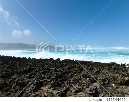 Waves Break on Coral Rock Shore Waves Break on Coral Rock Shore 115544625