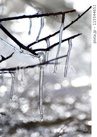 しぶき氷(福島県) しぶき氷(福島県) 115544651