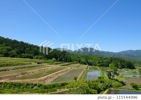 〈島根県〉奥出雲町　大原新田の棚田風景　5月 115544996