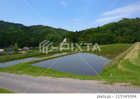 〈島根県〉奥出雲町　大原新田の棚田風景　5月 115545004