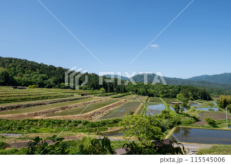 〈島根県〉奥出雲町　大原新田の棚田風景　5月 115545006