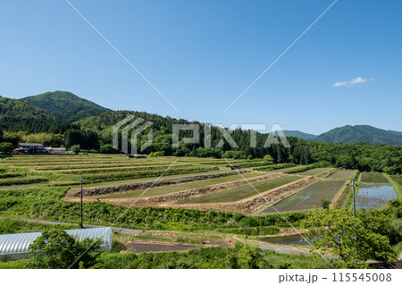 〈島根県〉奥出雲町　大原新田の棚田風景　5月 115545008
