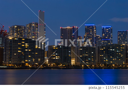 東京夜景　豊洲ぐるり公園からの風景 115545255