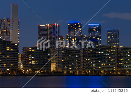 東京夜景　豊洲ぐるり公園からの風景 115545256