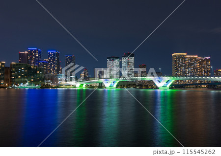東京夜景 豊洲ぐるり公園からの風景 東京夜景 豊洲ぐるり公園からの風景 115545262