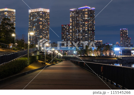 東京夜景 豊洲 東京夜景 豊洲 115545266